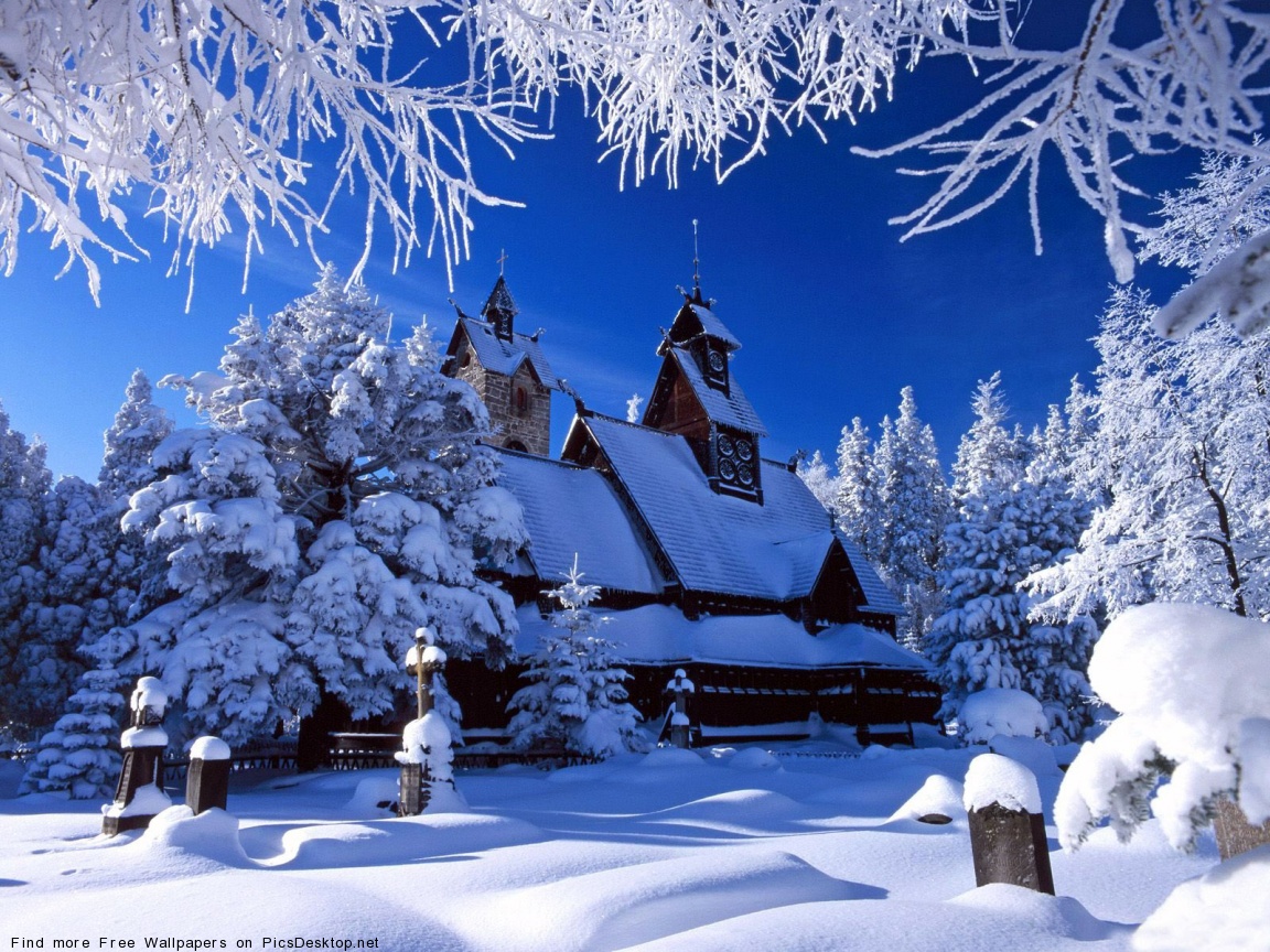 красивая природа зима 
