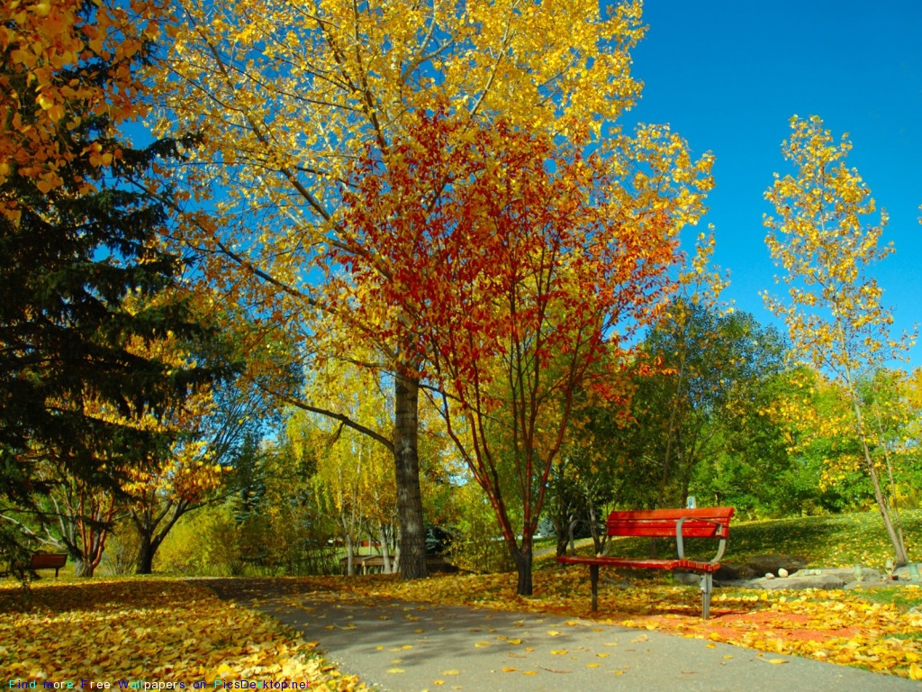 Природа, Осень - Красивые фото обои для рабочего стола комп. windows #38