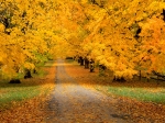 Природа, Осень - Красивые фото обои для рабочего стола комп, windows